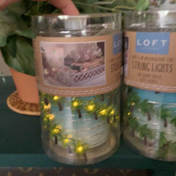 NWT Loft Living Mini Palm Tree String Lights - Picture 5 of 8